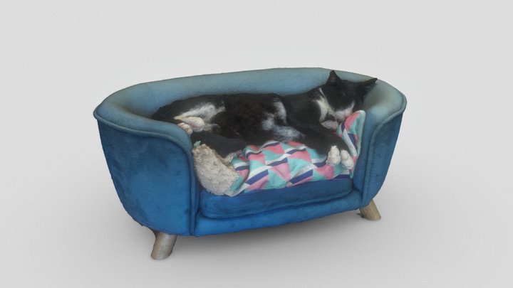 Bosco Scan 3D Model