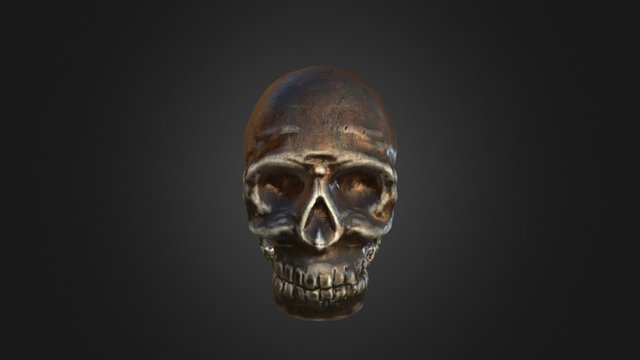 skull 3D Model