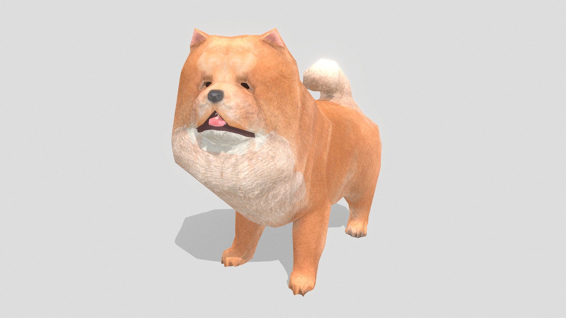 Chowchow LP