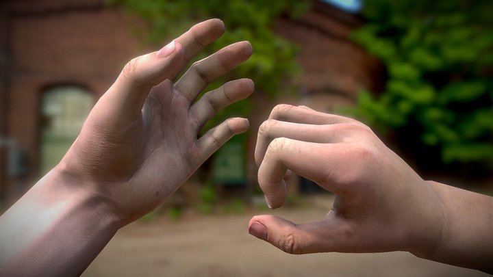 Hands model rigged 3D Model