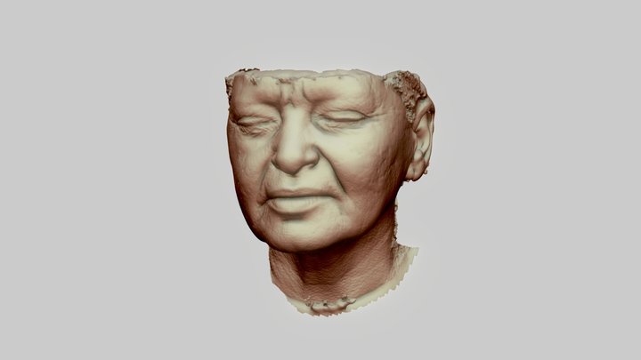 Woman face 3D Model