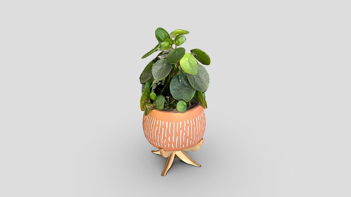Abby's plant – Modelo 3D gratuito STL
