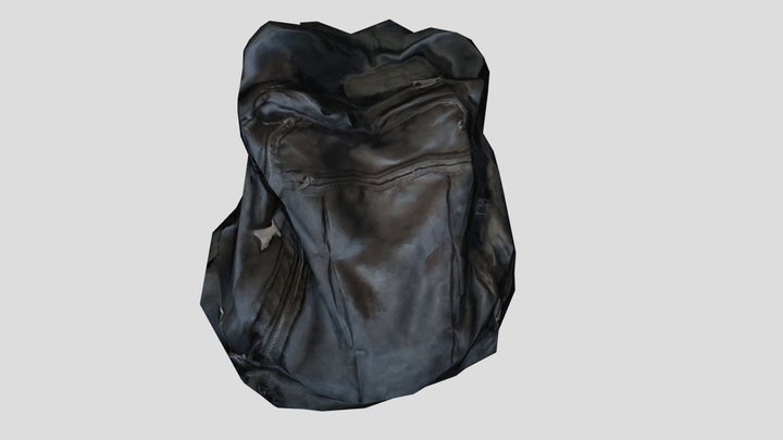 Backpack photogrammetry - Retopo 3D Model