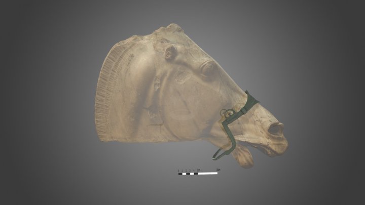 207 Romeins Paardenhoofdstel (Roman Hackamore) 3D Model