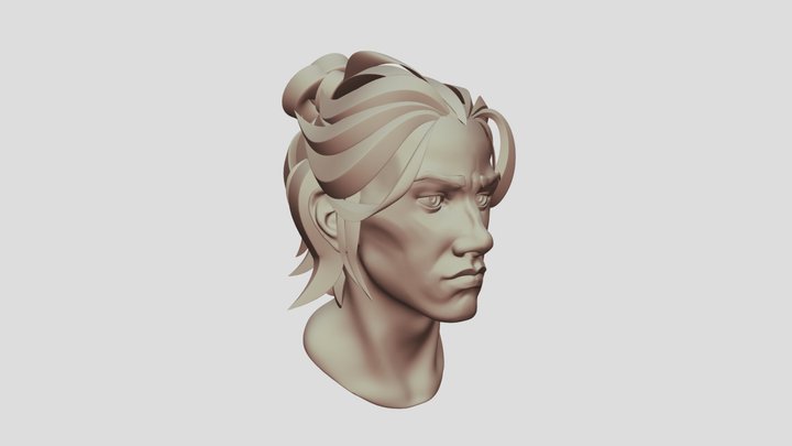 male head with hair 3D Model