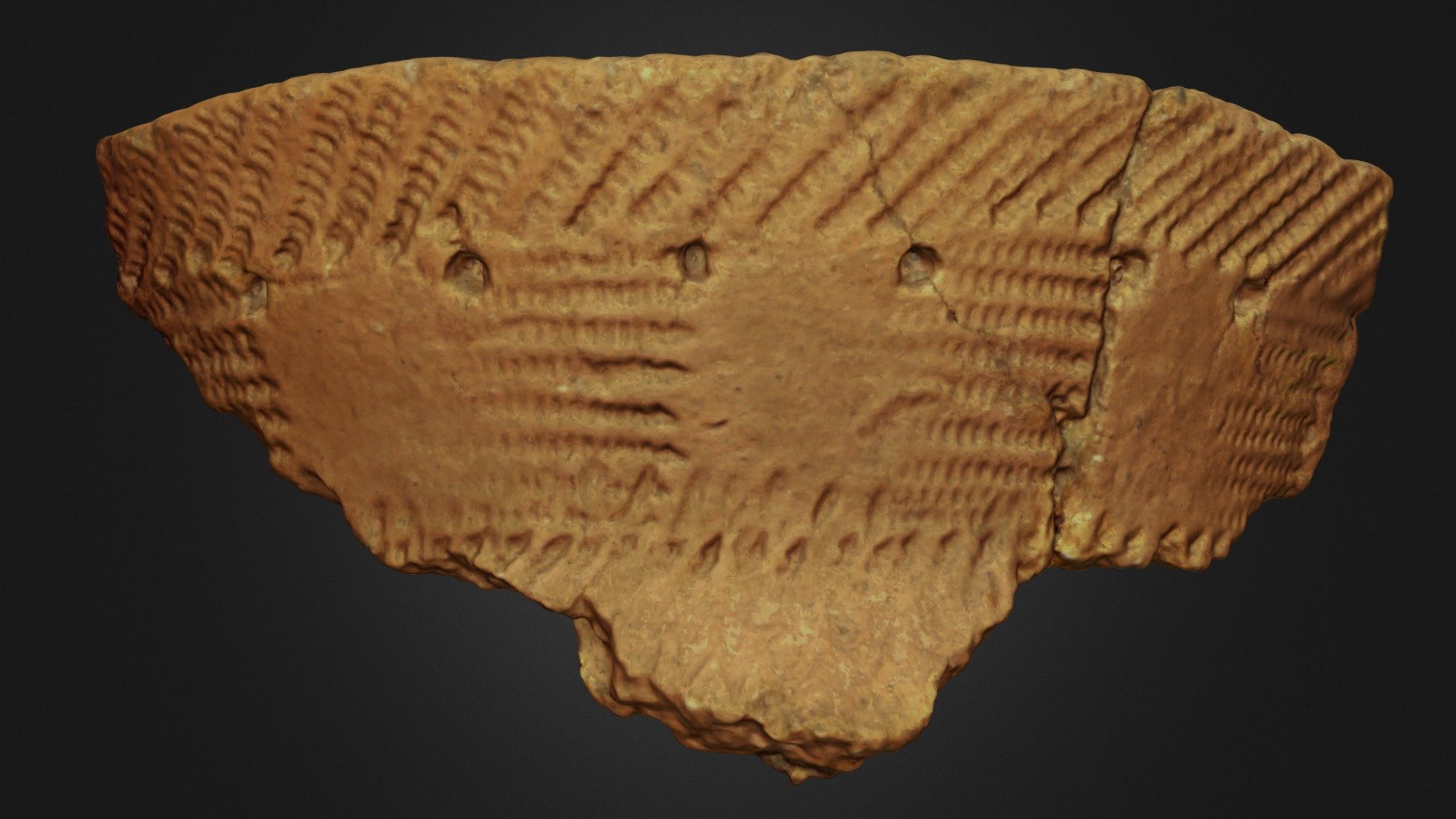 BLACKDUCK POT 3D model by Lakehead Anthropology