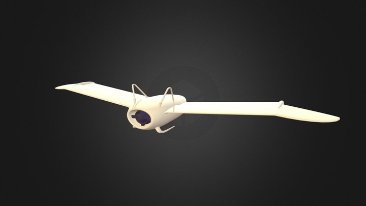 Plane | Nausicaa of the Valley of the Wind 3D Model