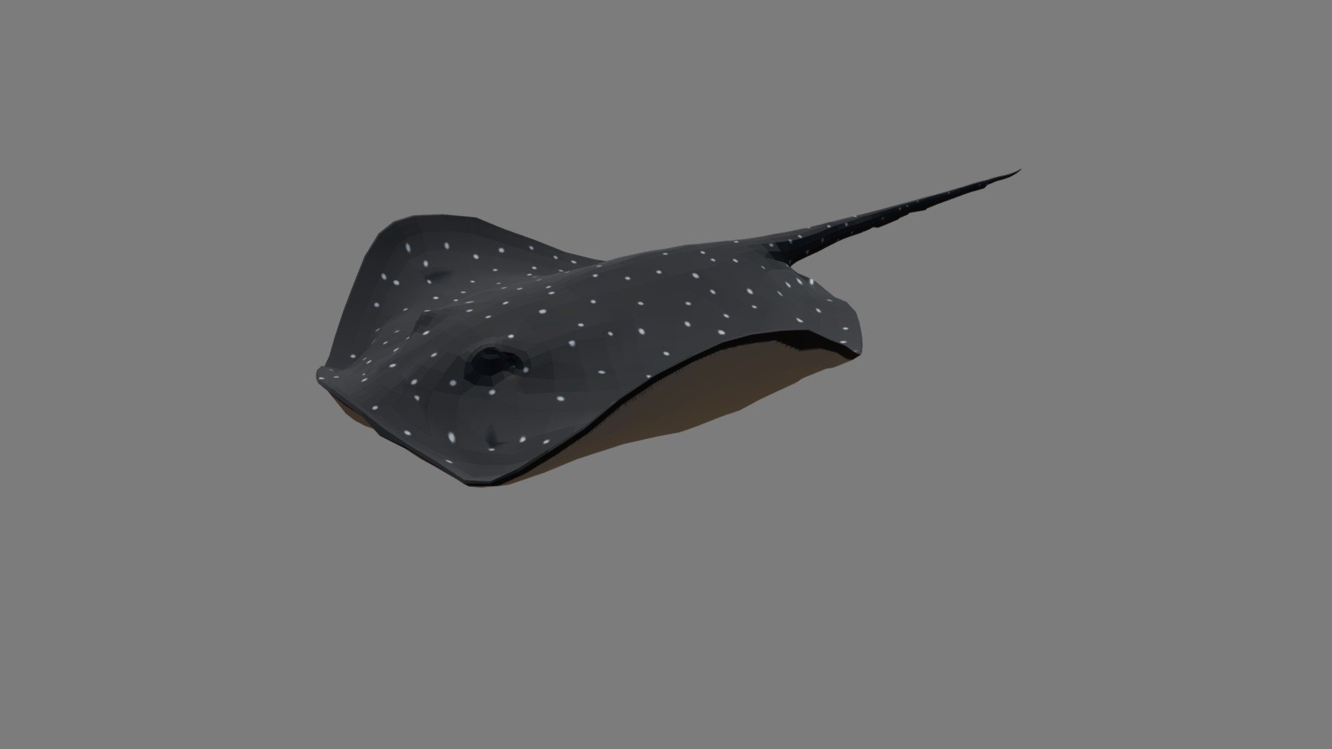 Stingray - 3D Model By Josluat91 [cbfc59a] - Sketchfab