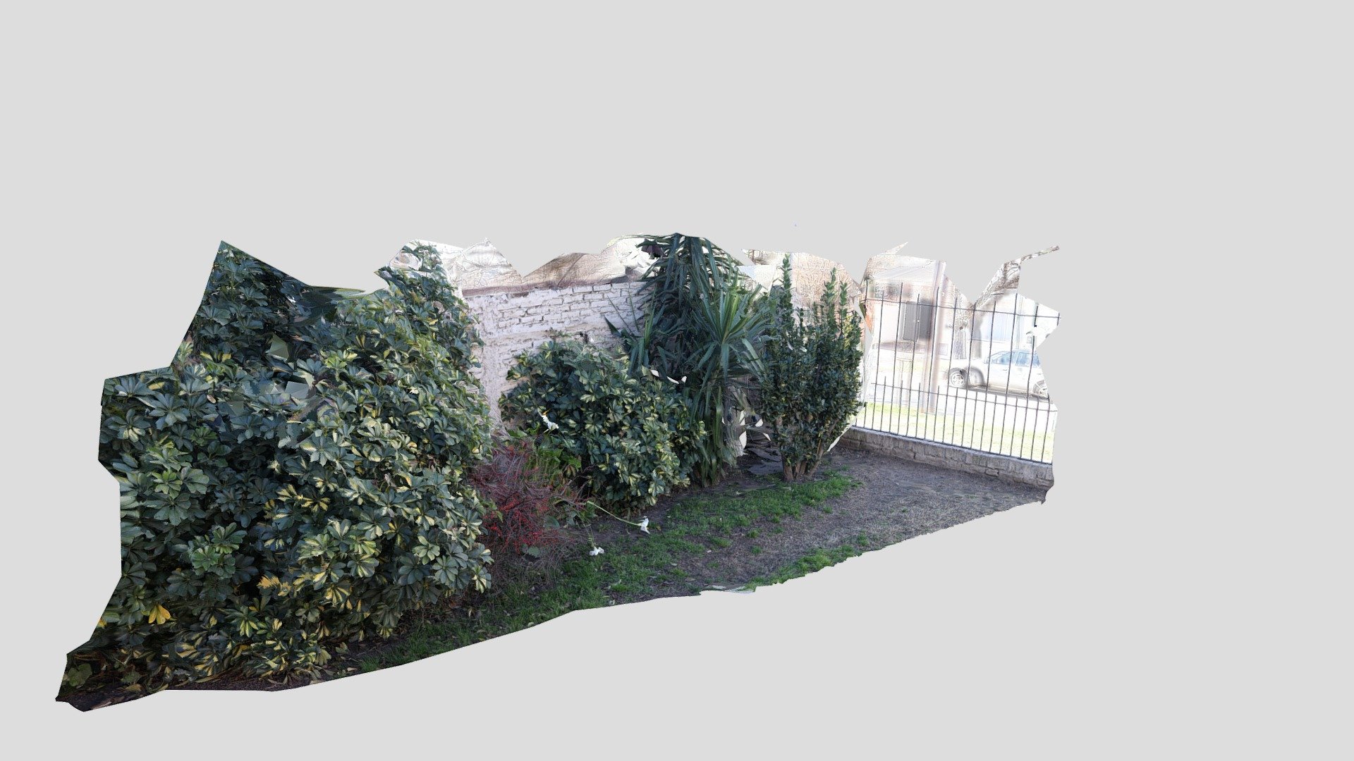 PLANTS