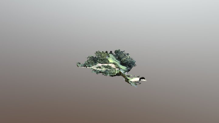 WWB 9月8日 田野１ 20170911 081933 Simplified 3d Mesh 3D Model