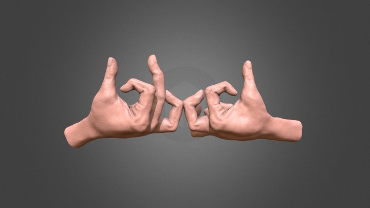 Hands Of Prayer 3D Model