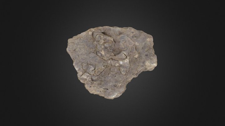 Brachiopod: Upper Chemung Slab (PRI 76878) – Modello 3D gratuito STL
