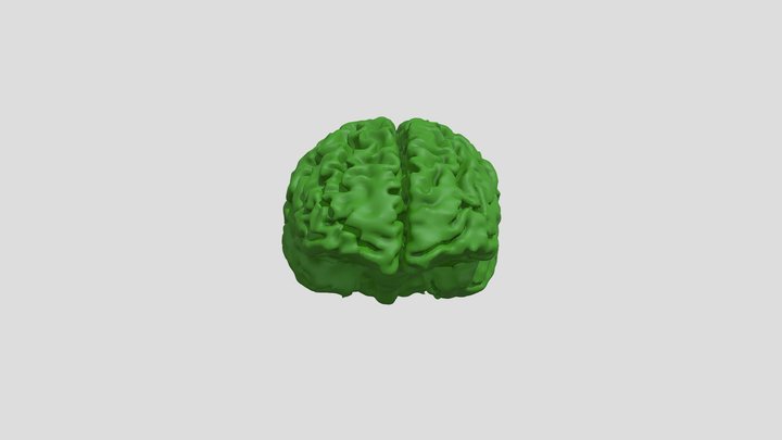 new_brain 3D Model