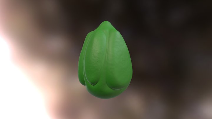 Boomerang Egg (highpoly) 3D Model
