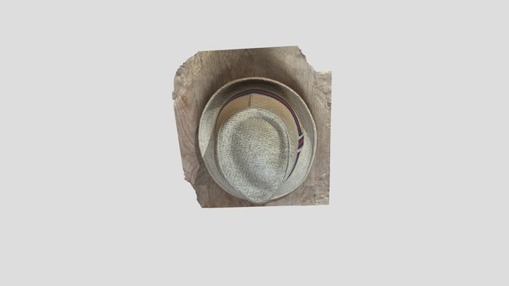 Chapeau photogrammétrie 3D Model
