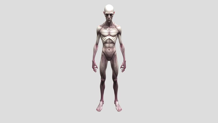 Veins of the Void 3D Model