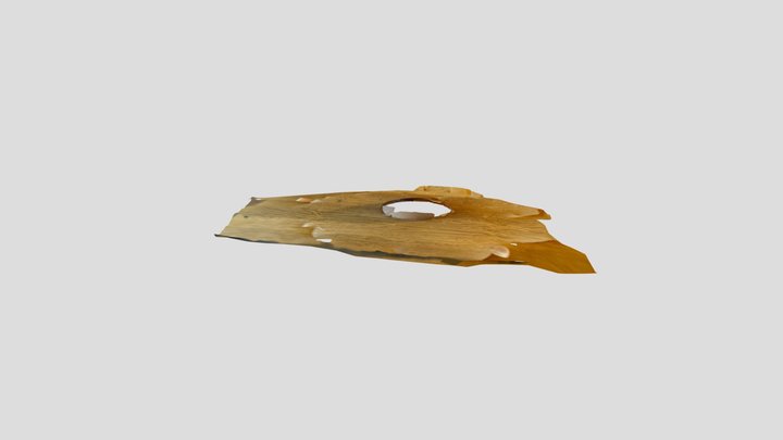 Cool 3D Model