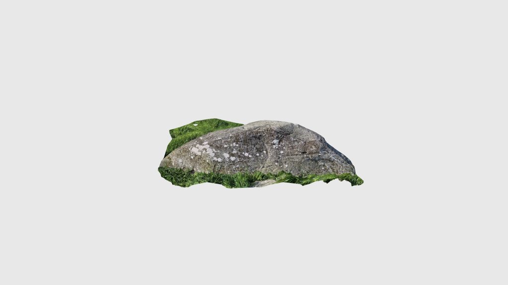 Glacial erratic nr Brimmond hill
