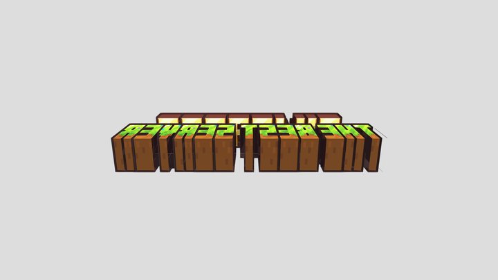 TimCraftTheBestServer 3D Model