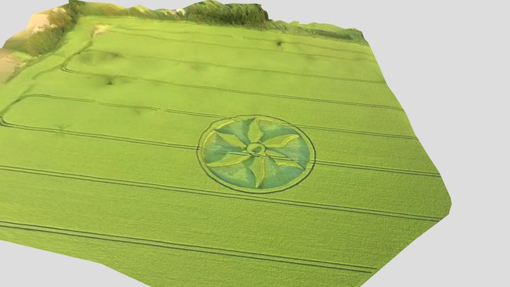 Broad Hinton Cropcircle 5/28/2023 3D Model