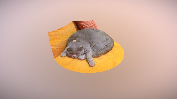 Sleeping Cat 3D Model