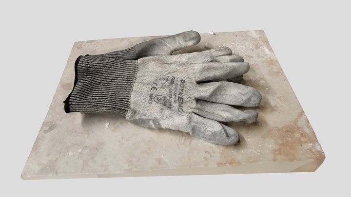 RealityScan - Old Gloves 3D Model