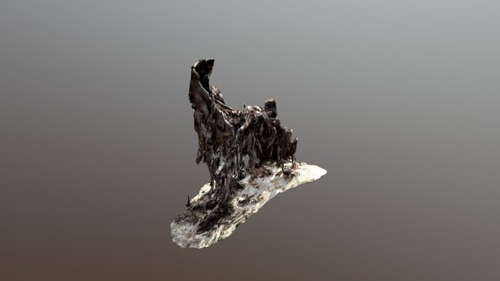 Stump 20k 3D Model