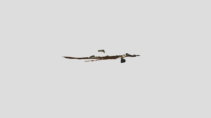 KRG Emu Dharamulan 3D Model