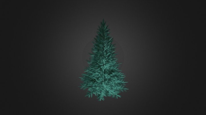 Blue Spruce (Picea pungens) 2.2m 3D Model