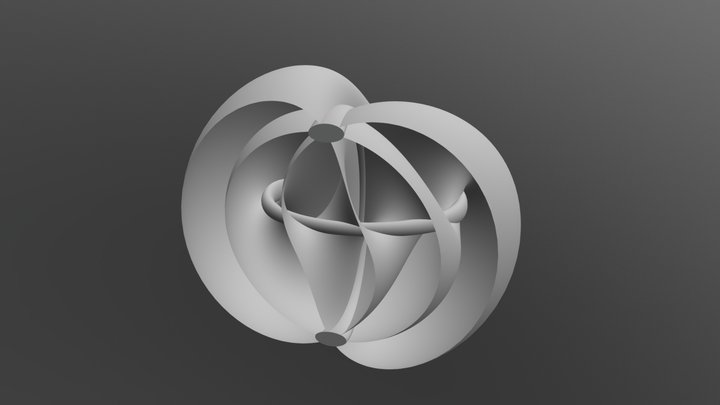 Bihelicoid in S^3 3D Model