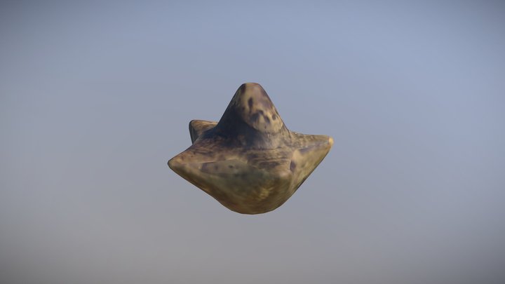 Question 2 Orophocrinus 3D Model