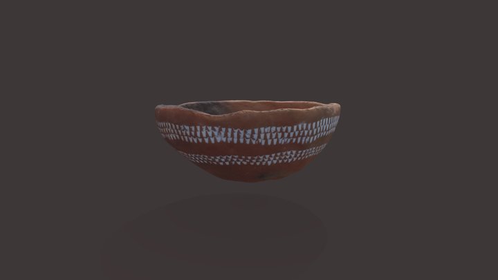 Cuenco 3D Model