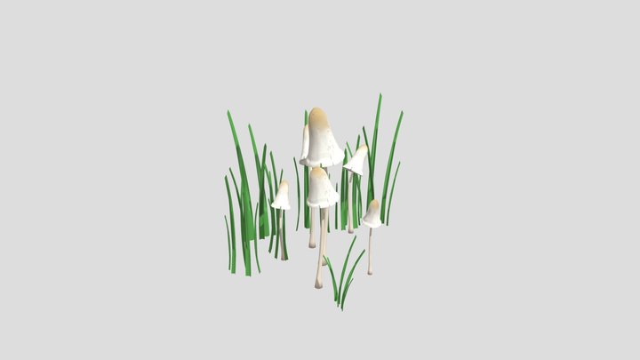 Mushroom Cluster 3D Model