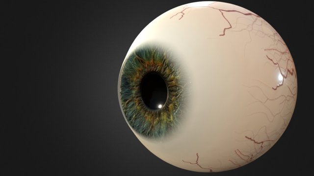 Eyeball 3D Model