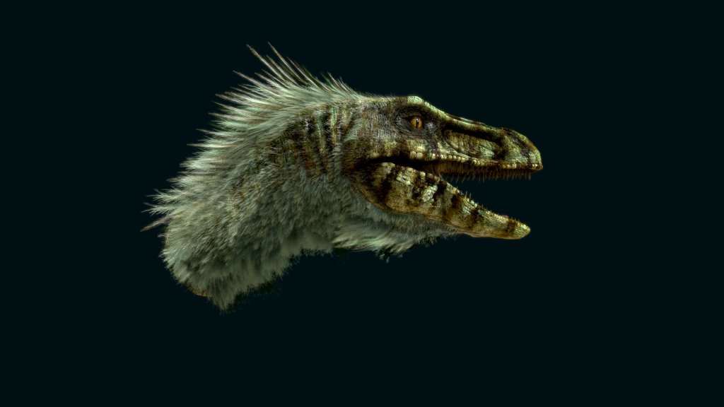 Raptor head test