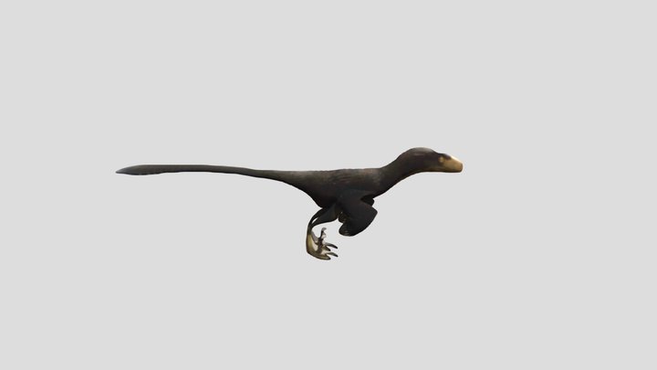 Deinonychus 3D Model