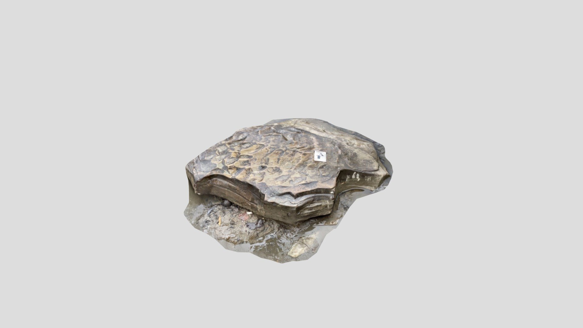 Ripples on Sandstone - Download Free 3D model by UTSC DPES (@Daxberger ...
