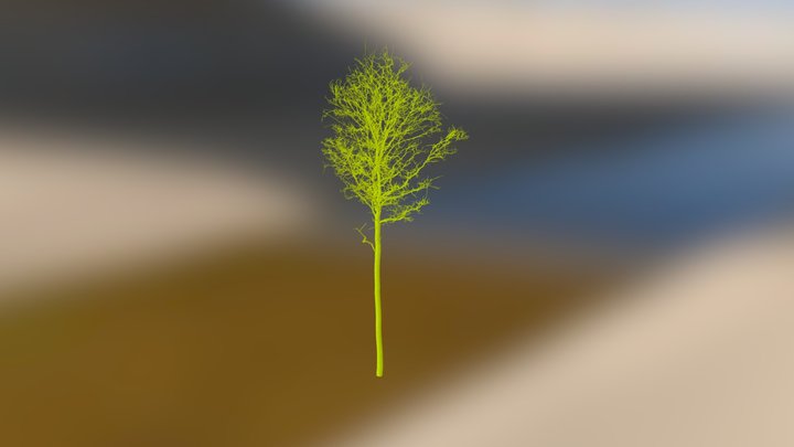 Straits / Oak 2 3D Model