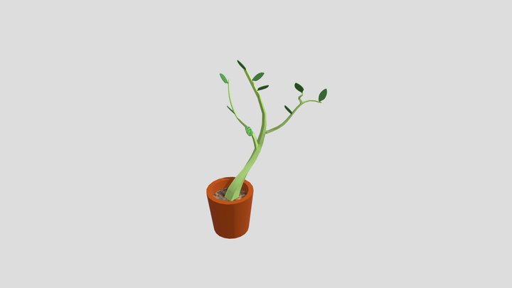 plant116 3D Model