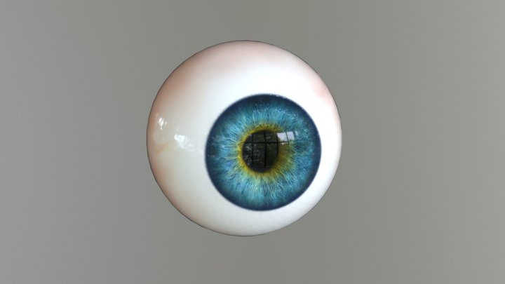 Human eyeball (try 2) high-poly 3D Model