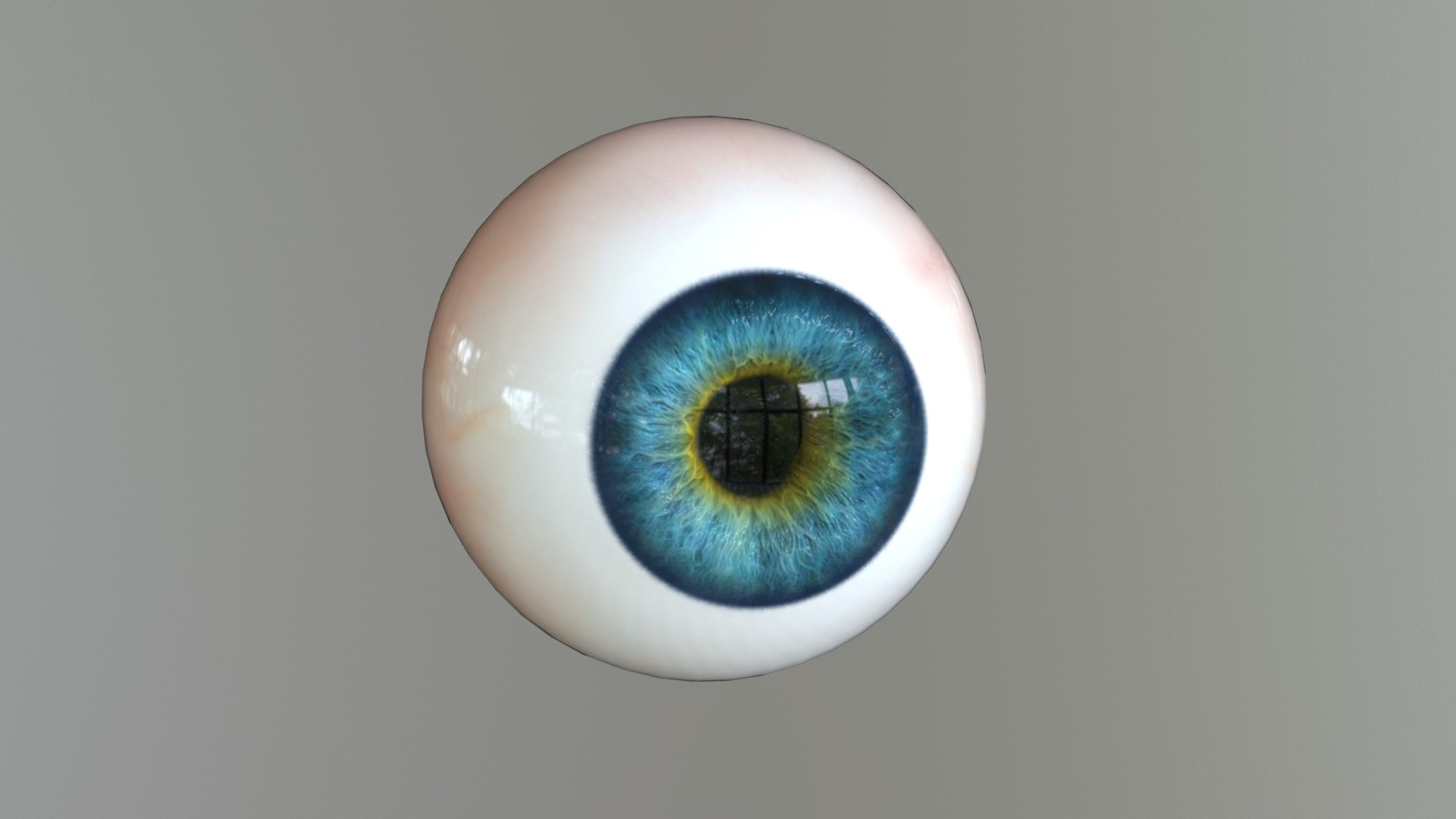 Human eyeball (try 2) high-poly - 3D model by man15017 Michaela ...