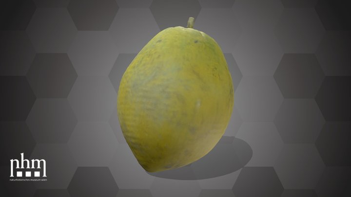 Jujube (NHMW-AFW-DING-0046-142) – Modèle 3D gratuit STL
