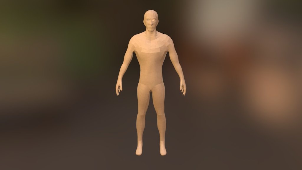 Low Resolution Mesh - 3D model by mindi.bollig [cc3636b] - Sketchfab