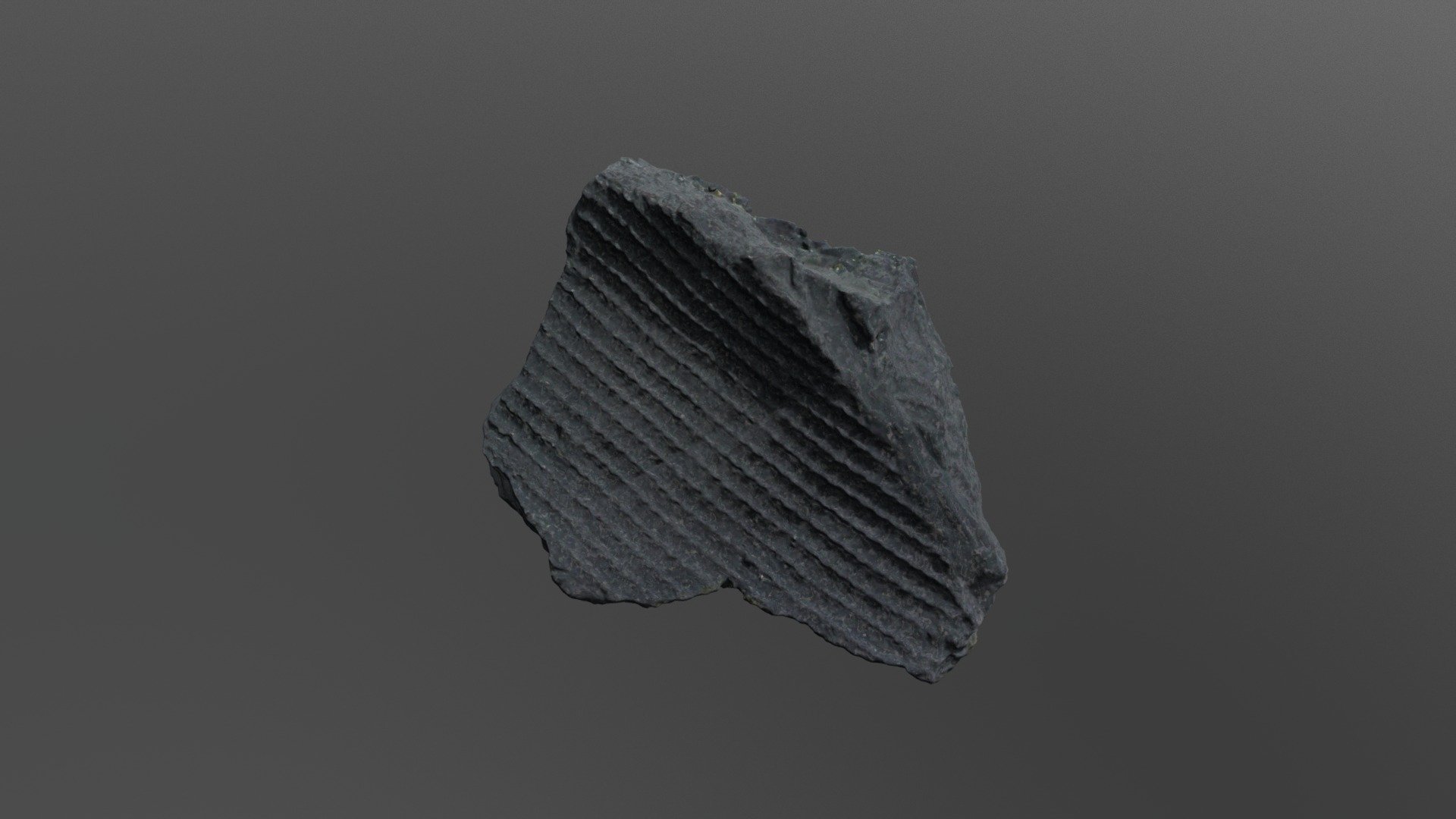 Lepidodendron Fossil (VCU_3D_3006)