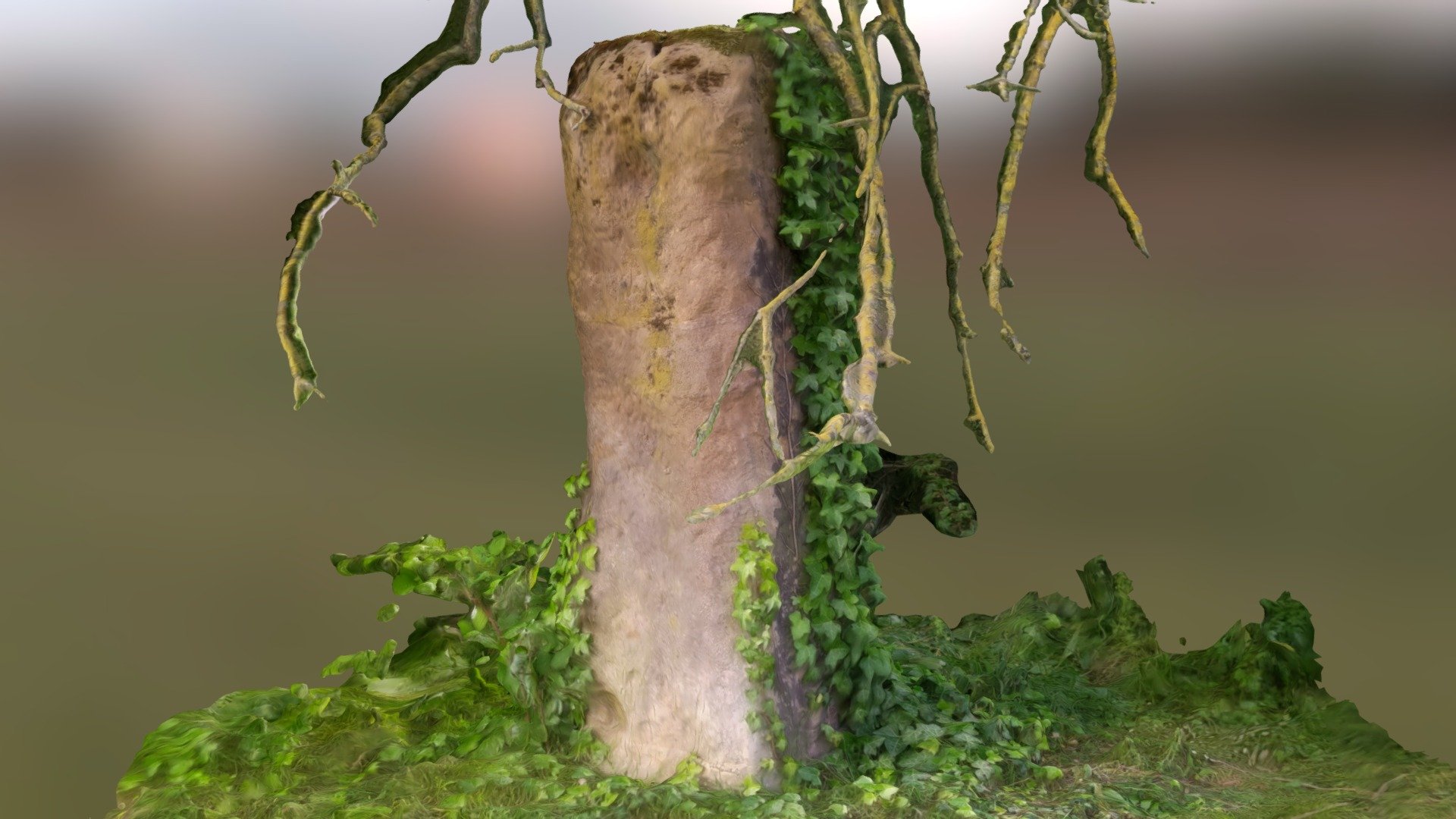 Overchurch Stone