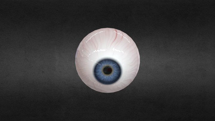 Eye Ball_WIP 3D Model