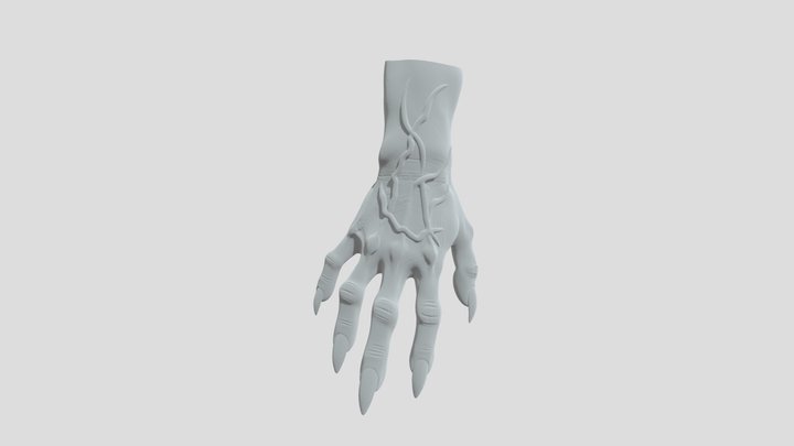Fingernails 3D models - Sketchfab