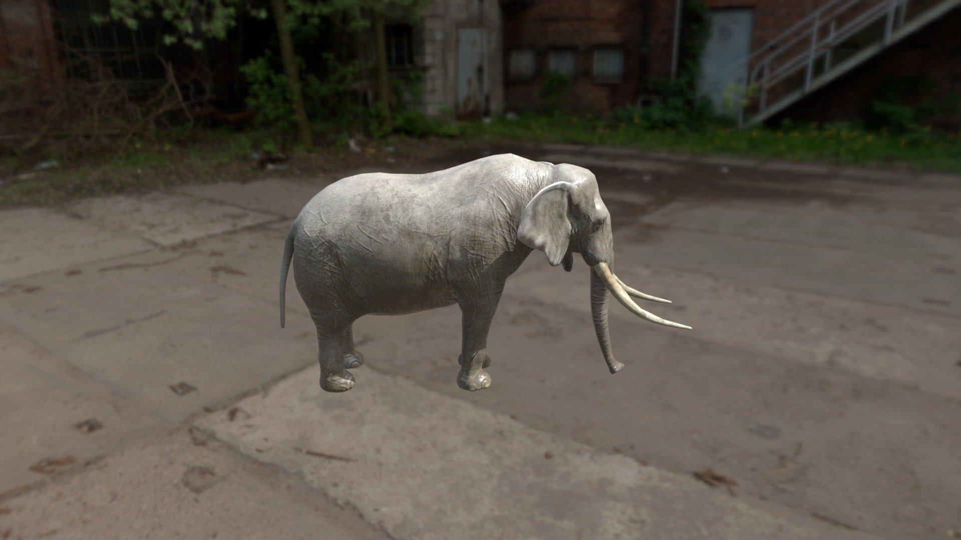 Elephant - 3D model by wetpwnage [cc3edc1] - Sketchfab