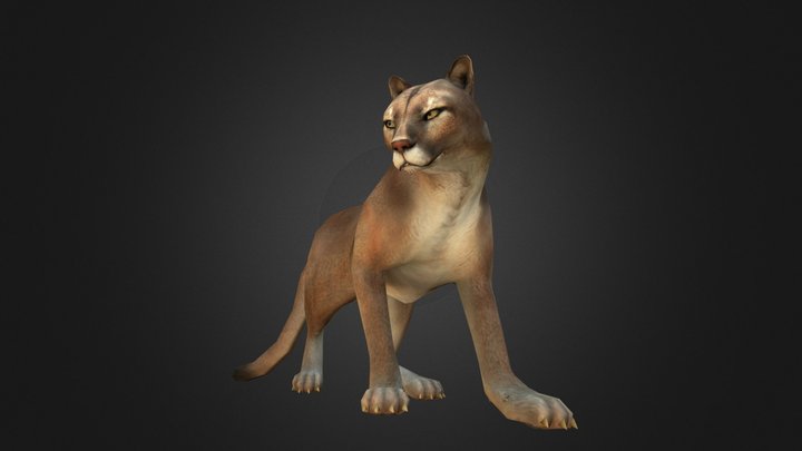 Cougar 3D Model