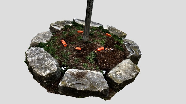 Regina Mundi College Garden 3D Model
